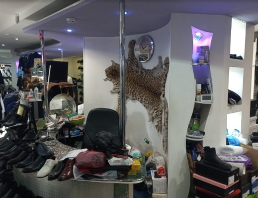 Продам торговое помещение 157,4 м2, Красной Армии ул, 20Б, Иваново г