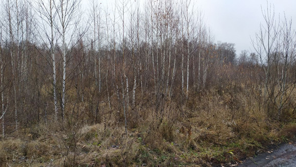 Продам участок 14,88 соток, ИЖС, Пригородная ул, Плодопитомник п, 0 км от города