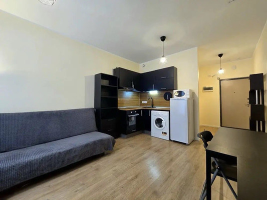 Продам однокомнатную (1-комн.) квартиру, Камероновская ул, 3к2, Пушкин г