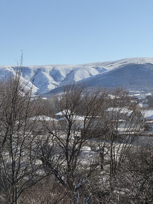 Продам участок 10 соток, ИЖС, Благовещенская ул, 8, Доброе с, 0 км от города