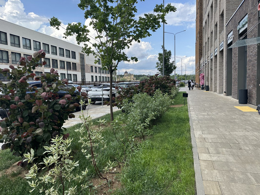 Продам двухкомнатную (2-комн.) квартиру, Луговая ул, 6кк1, Заречье рп