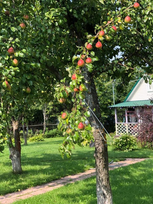 Продам дачу, Русь тер. СНТ, 678, Ивняги д, 0 км от города