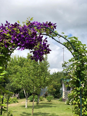 Продам дачу, Русь тер. СНТ, 678, Ивняги д, 0 км от города