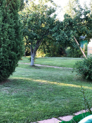 Продам дачу, Русь тер. СНТ, 678, Ивняги д, 0 км от города