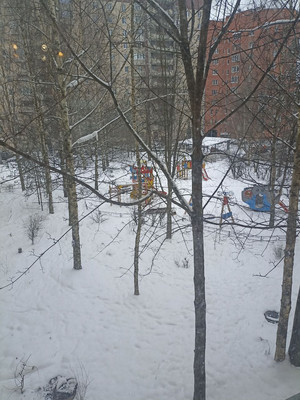 Продам трехкомнатную (3-комн.) квартиру, Камышовая ул, 54к1, Санкт-Петербург г