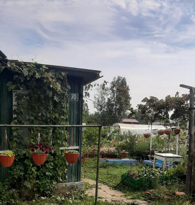 Продам дачу, Восход тер. СНТ, 0 км от города