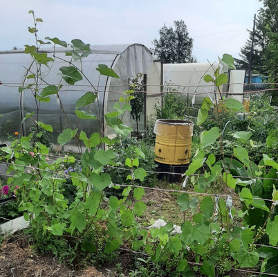 Продам дачу, Восход тер. СНТ, 0 км от города