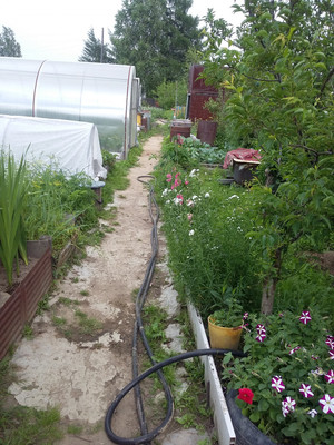 Продам дачу, Восход тер. СНТ, 0 км от города