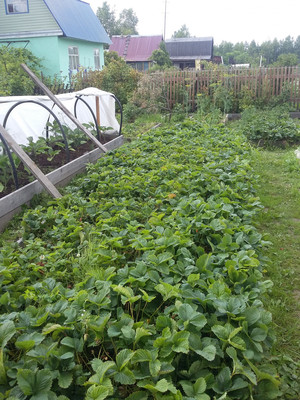 Продам дачу, Восход тер. СНТ, 0 км от города