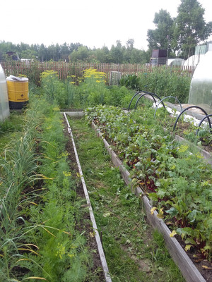 Продам дачу, Восход тер. СНТ, 0 км от города