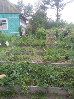 Продам дачу, Восход тер. СНТ, 0 км от города