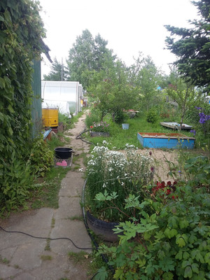 Продам дачу, Восход тер. СНТ, 0 км от города