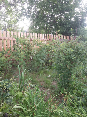 Продам дачу, Восход тер. СНТ, 0 км от города