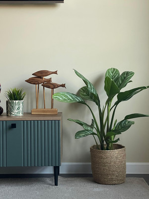 Продам дом, 3-я Турнирная ул, 218, Ростов-на-Дону г, 0 км от города