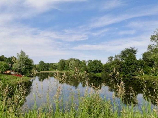 Продам дом, Подмосковная ул, 66, Мерлеево д, 0 км от города