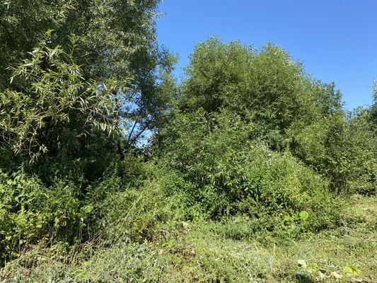 Продам дом, 93к1, Нестерово д, 0 км от города