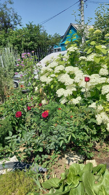 Продам дачу, Тан ул, Казань г, 0 км от города