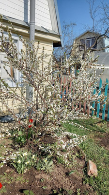 Продам дачу, Тан ул, Казань г, 0 км от города