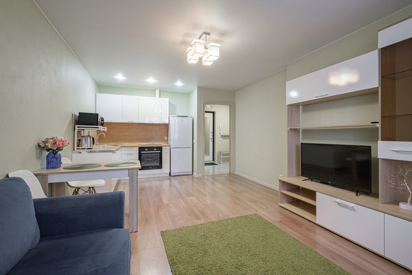 Продам однокомнатную (1-комн.) квартиру, Екатерининская ул, 8к1, Мурино п