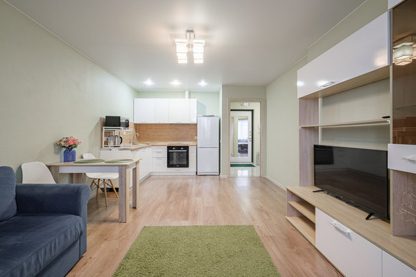 Продам однокомнатную (1-комн.) квартиру, Екатерининская ул, 8к1, Мурино п