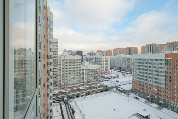 Продам однокомнатную (1-комн.) квартиру, Екатерининская ул, 8к1, Мурино п