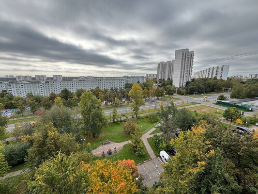 Продам однокомнатную (1-комн.) квартиру, Рокотова ул, 8к2, Москва г