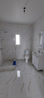 Продам дом, 1-я Зеленая (Мечта тер. ТСН) ул, 115, Айкаван п, 0 км от города