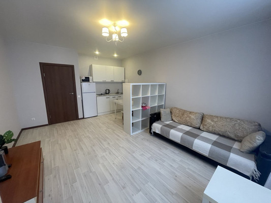 Продам однокомнатную (1-комн.) квартиру, Заречная ул, 21, Троицк г