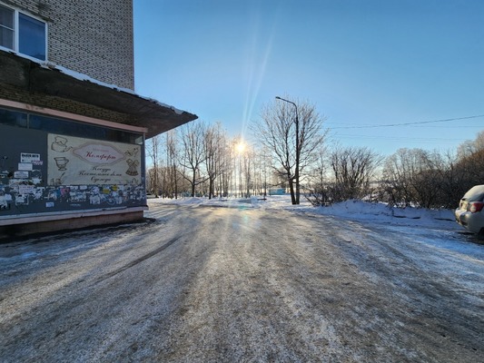 Продам однокомнатную (1-комн.) квартиру, Лебедева наб, 7, Приморск г