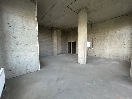 Продам коммерческое помещение 61,4 м2, Будённого пр-кт, 15к1, Санкт-Петербург г