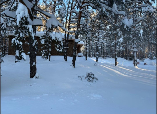 Продам дом, Новая ул, Дубровичи с, 0 км от города
