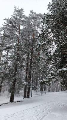 Продам участок 10 соток, ИЖС, 1-ый Школьный проезд, Ягодное д, 0 км от города