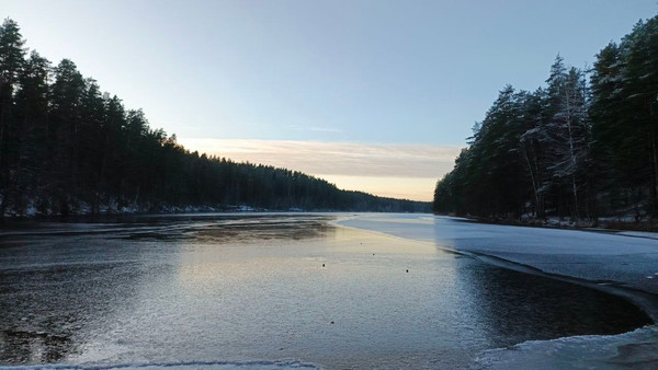 Продам участок 10 соток, ИЖС, 1-ый Школьный проезд, Ягодное д, 0 км от города