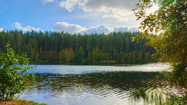 Продам участок 10 соток, ИЖС, 1-ый Школьный проезд, Ягодное д, 0 км от города