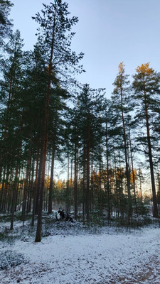 Продам участок 10 соток, ИЖС, 1-ый Школьный проезд, Ягодное д, 0 км от города