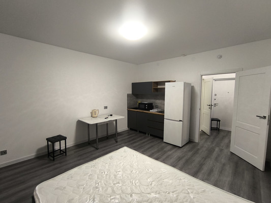 Сдам однокомнатную (1-комн.) квартиру, Буденного пр-кт, 20к1, Стрельна п