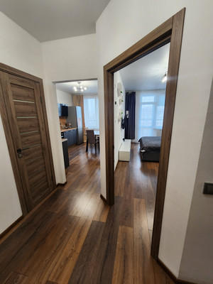 Сдам однокомнатную (1-комн.) квартиру, Богатырский пр-кт, 2А, Санкт-Петербург г