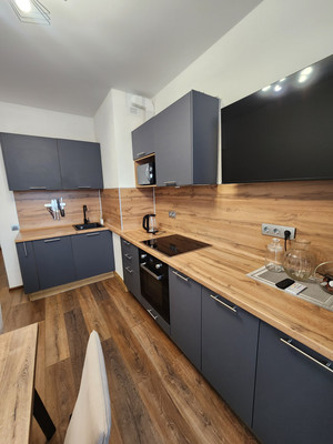 Сдам однокомнатную (1-комн.) квартиру, Богатырский пр-кт, 2А, Санкт-Петербург г