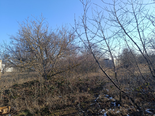 Продам участок 8,17 соток, Фермерское хоз., СПК Конструктор тер, Урожайное с, 0 км от города