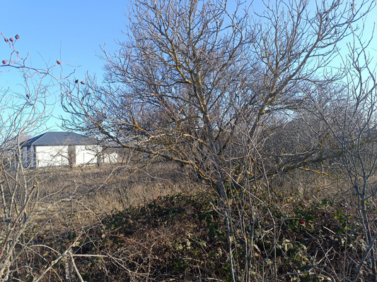 Продам участок 8,17 соток, Фермерское хоз., СПК Конструктор тер, Урожайное с, 0 км от города