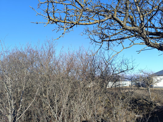 Продам участок 8,17 соток, Фермерское хоз., СПК Конструктор тер, Урожайное с, 0 км от города