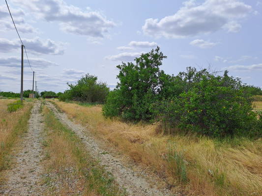 Продам участок 6 соток, Фермерское хоз., Роз б-р, Волгодонск г, 0 км от города