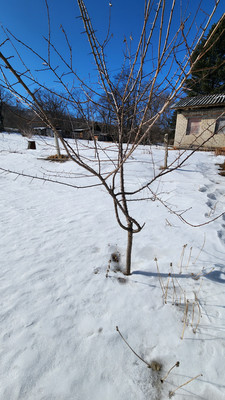 Продам дачу, 20, Боец Кузнецов п, 0 км от города