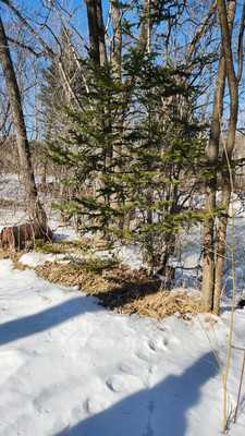 Продам дачу, 20, Боец Кузнецов п, 0 км от города