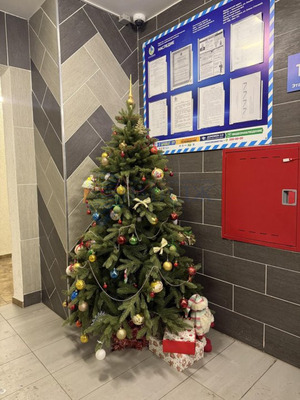 Сдам двухкомнатную (2-комн.) квартиру, Елены Стасовой ул, 48Б, Красноярск г