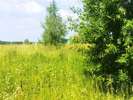 Продам землю для коммерческого использования 10 соток, ИЖС, Белугино д