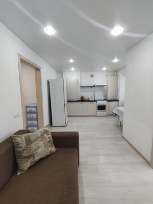 Продам однокомнатную (1-комн.) квартиру, Лесная ул, 14, Руэм п