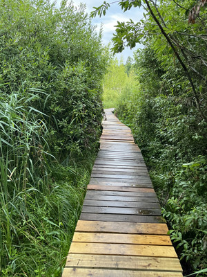 Продам дом, Пчелка д, 0 км от города