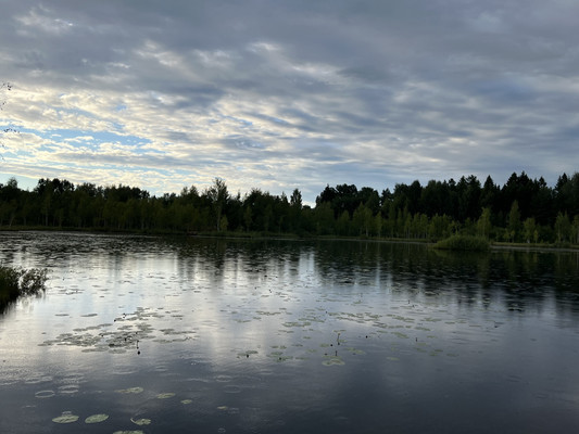 Продам дом, Пчелка д, 0 км от города