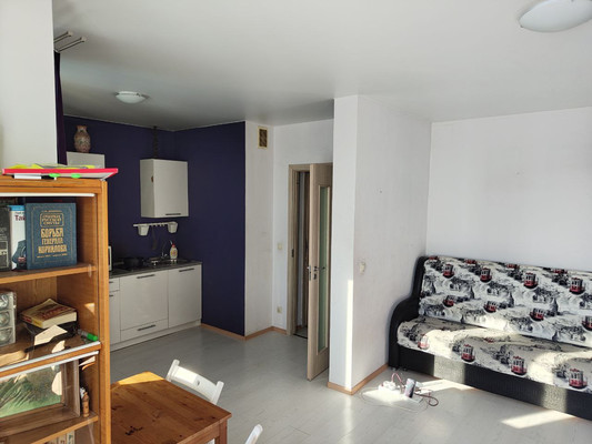 Сдам однокомнатную (1-комн.) квартиру, Вадима Шефнера ул, 10к2, Санкт-Петербург г